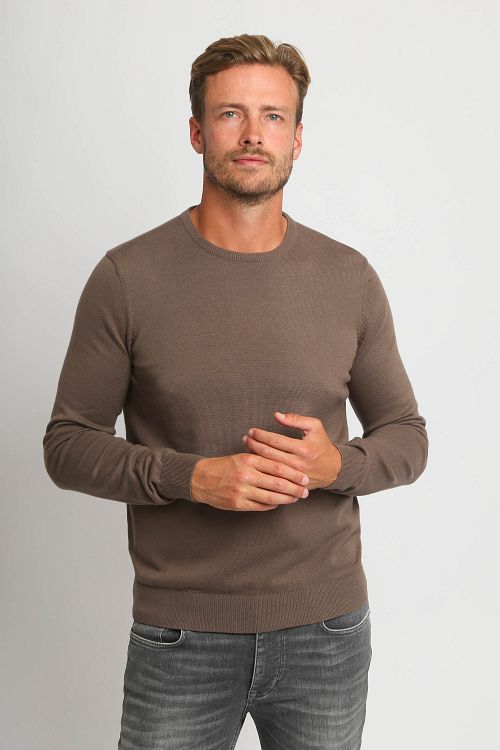 Pullover Suitable Respect Oinir w kolorze taupe Model / Voorkant
