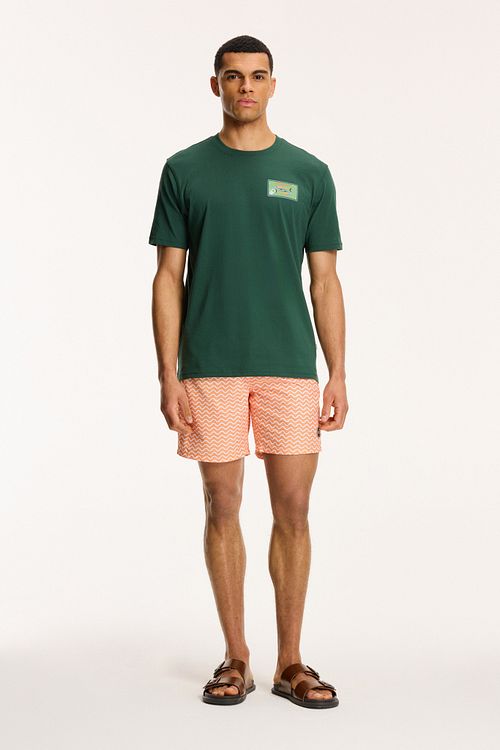 Camiseta Shiwi Sardines Cilantro Green Model / Voorkant