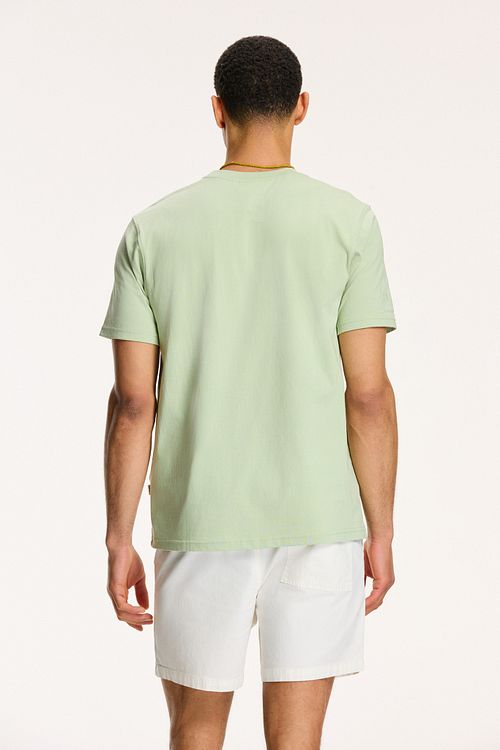 T-Shirt Shiwi Antigua en verde polvo Port Dust Model / Achterkant