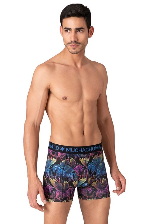 Muchachomalo Boxershorts 12-Pack Golden Special Model / Voorkant