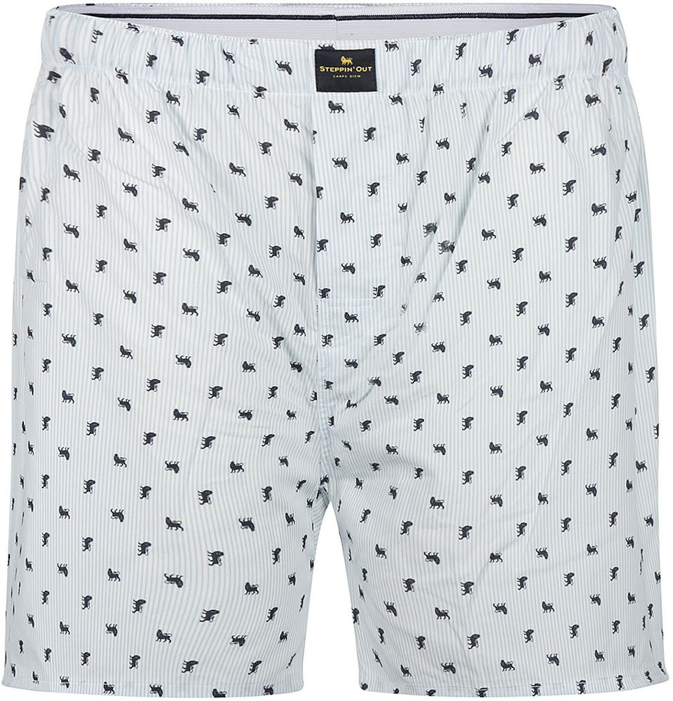 boxershorts med tryck Ljusblå Blå Vit Storlek