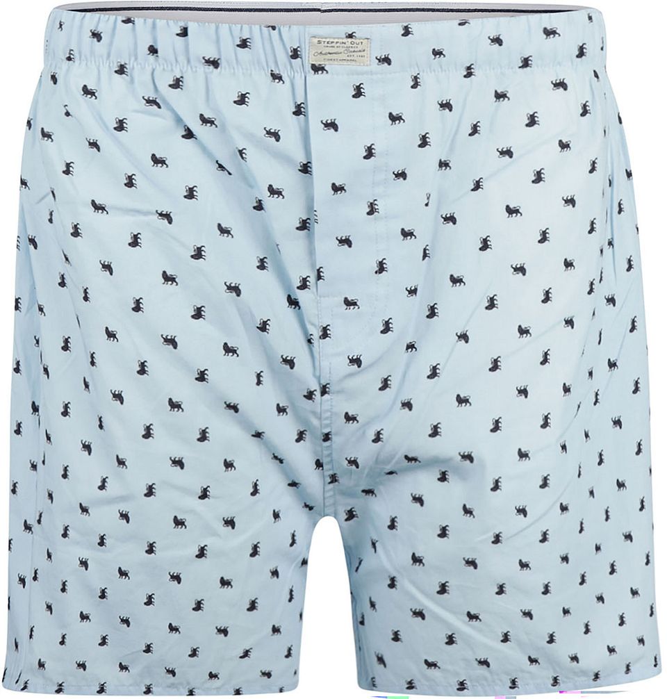 Boxershorts Lejontryck Blå Ljusblå Storlek