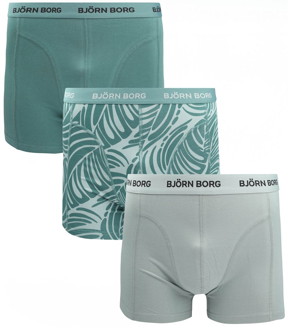 Björn Borg Kalsonger 3-pack Grön Storlek