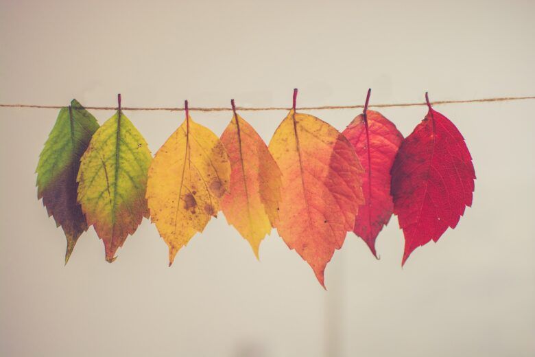 Quel est ton type de couleurs ?