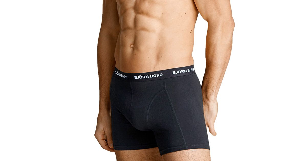 4 points à prendre en compte lors de l'achat d'un boxer